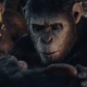 Illustration for article titled Will We Ever See A New emPlanet Of The Apes/em Movie With Stupid Humans?
